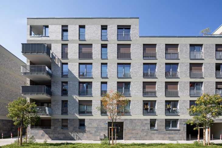 FUE-04_CopyrightStefanMeyer_A (Custom)